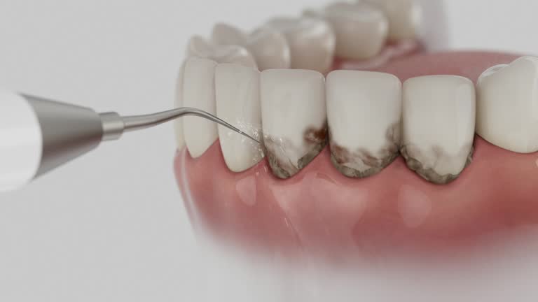 Reliable Dental contractor in Forest, MS by Dentist Open Now